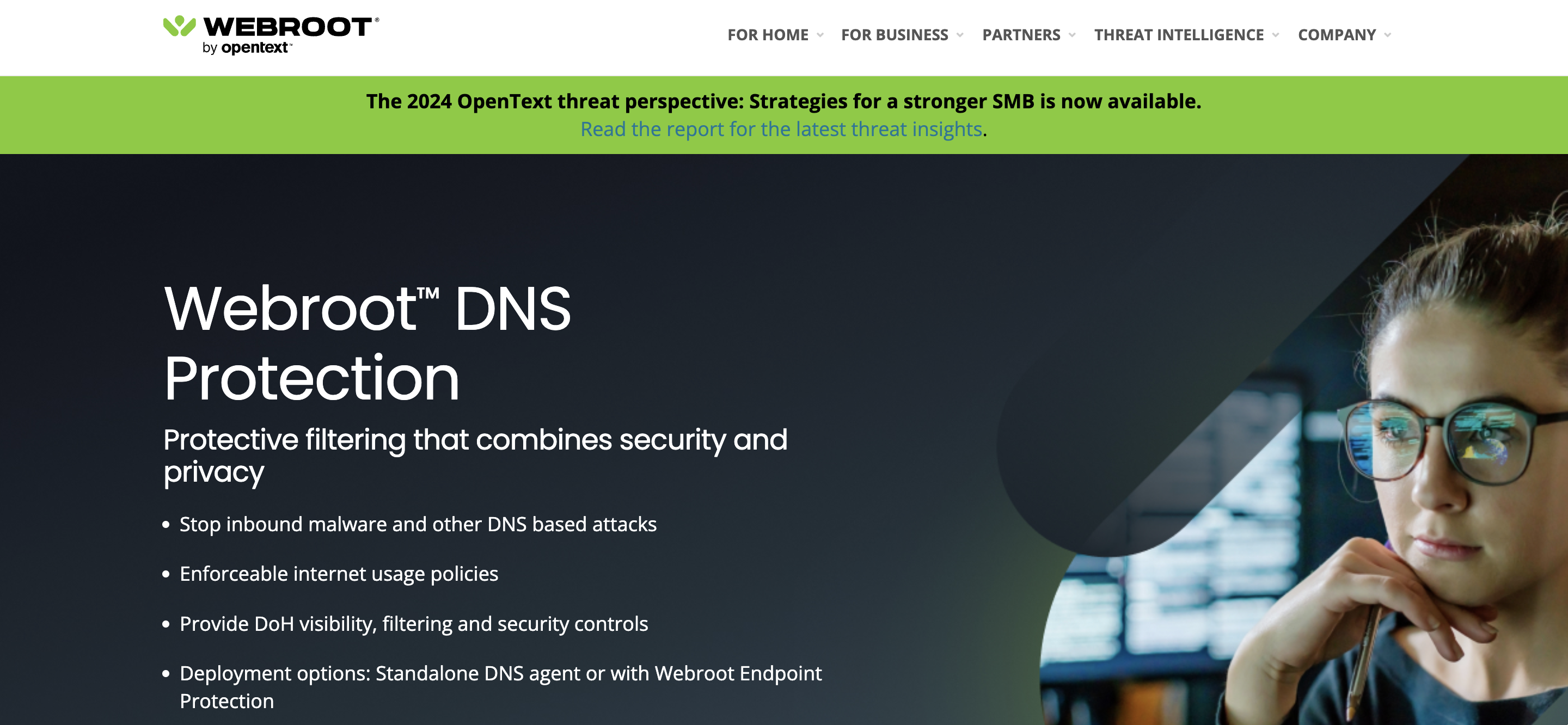 webroot dns protection
